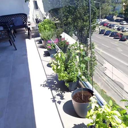 Elysse Sunrise Apartment